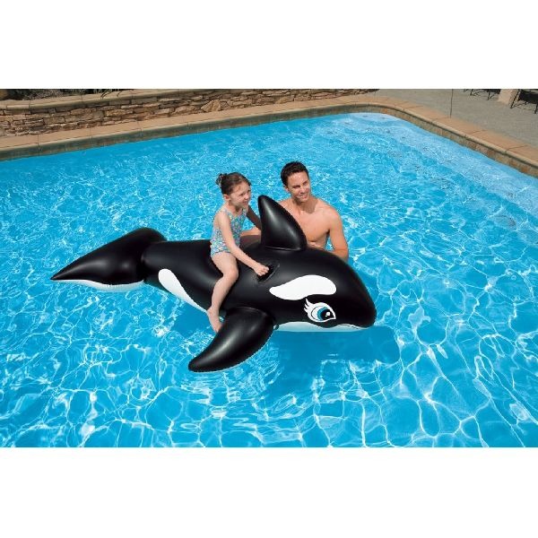 Intex\u0020Walvis\u0020Rideon\u0020193x119cm