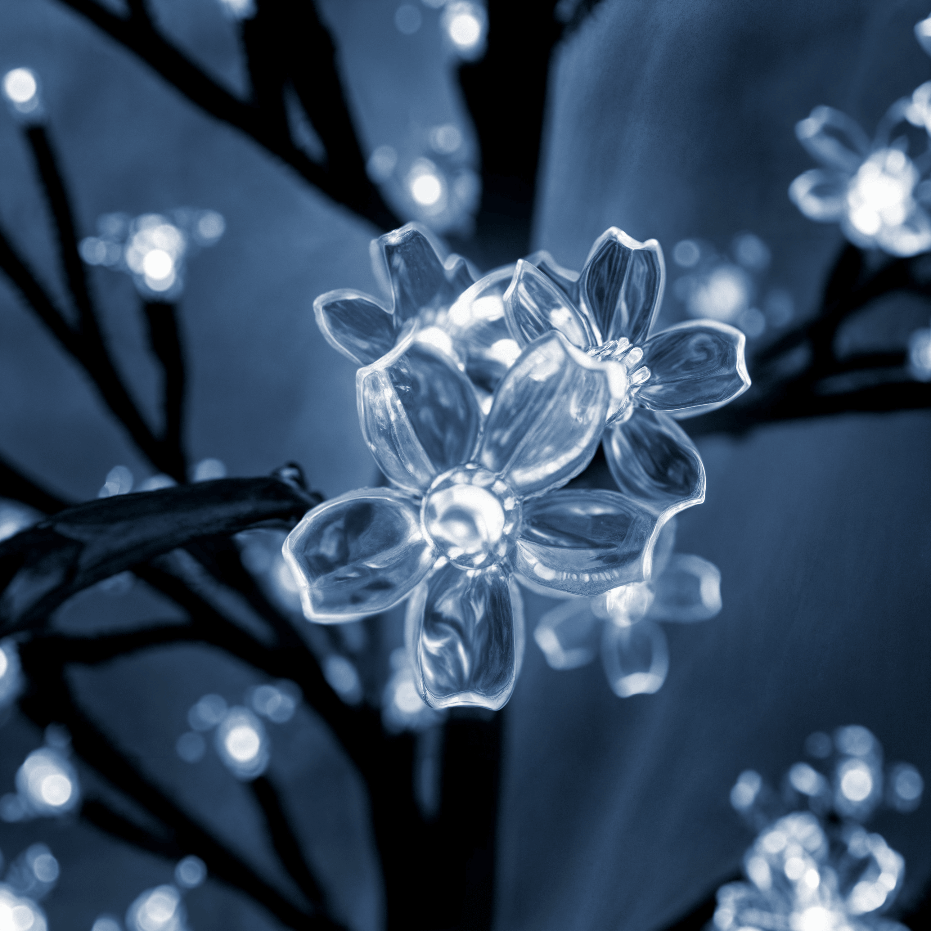 Kersenbloesemboom\u0020Koudwit\u0020180cm\u0020200\u0020LEDs Kersenbloesemboom\u0020Koudwit\u0020180cm\u0020200\u0020LEDs