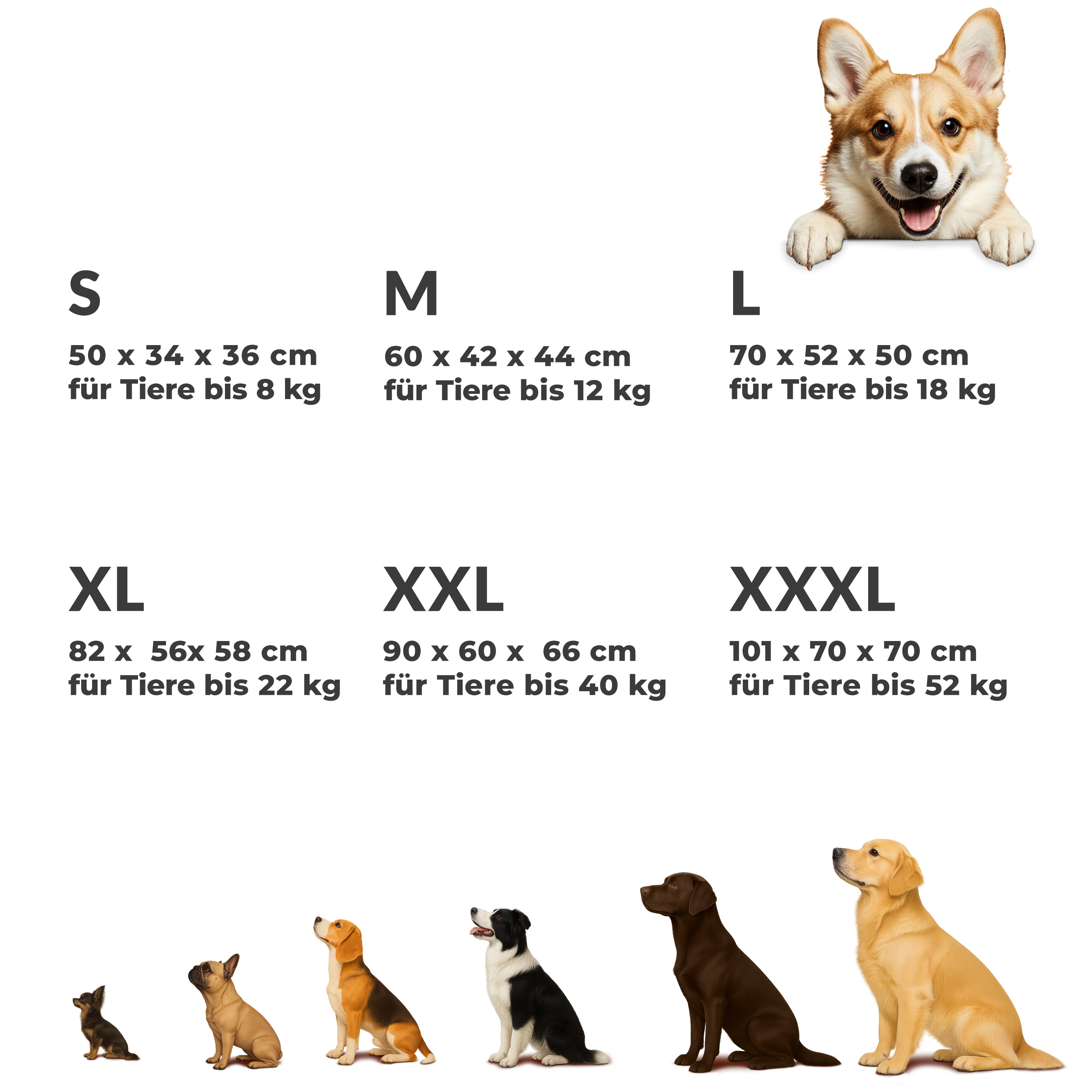 Hondentransportbox\u0020Blauw\u0020L\u002070x52x50cm Hondentransportbox\u0020Blauw\u0020L\u002070x52x50cm