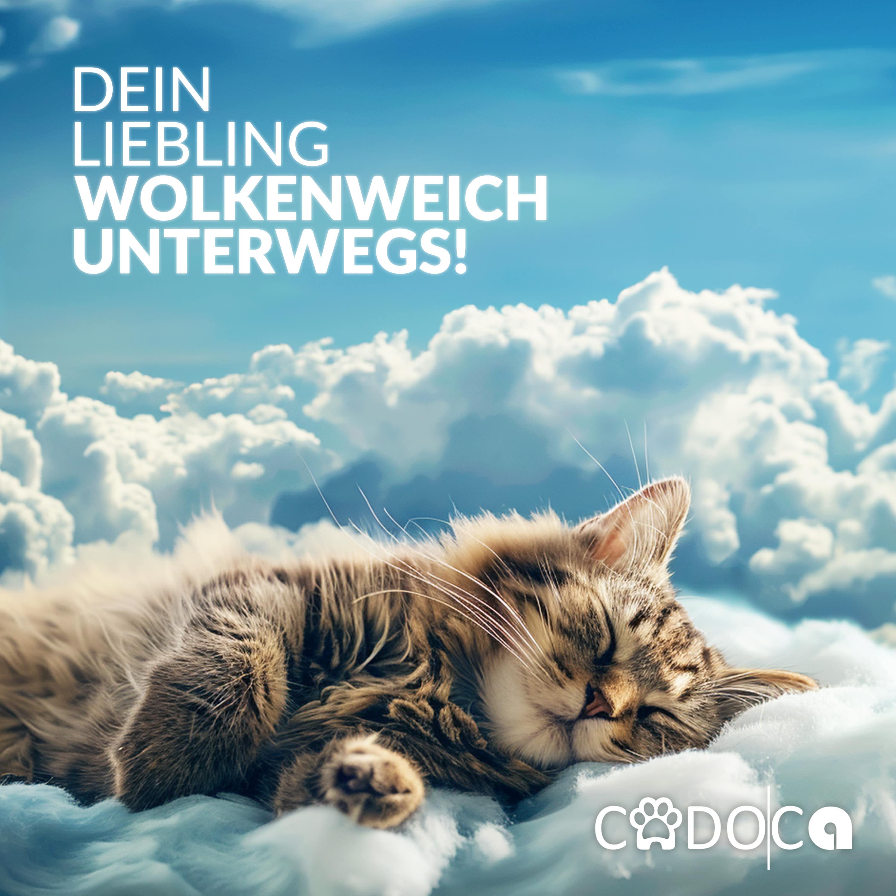 Kattenrugzak\u0020Grijs\u002041x30x31cm Kattenrugzak\u0020Grijs\u002041x30x31cm