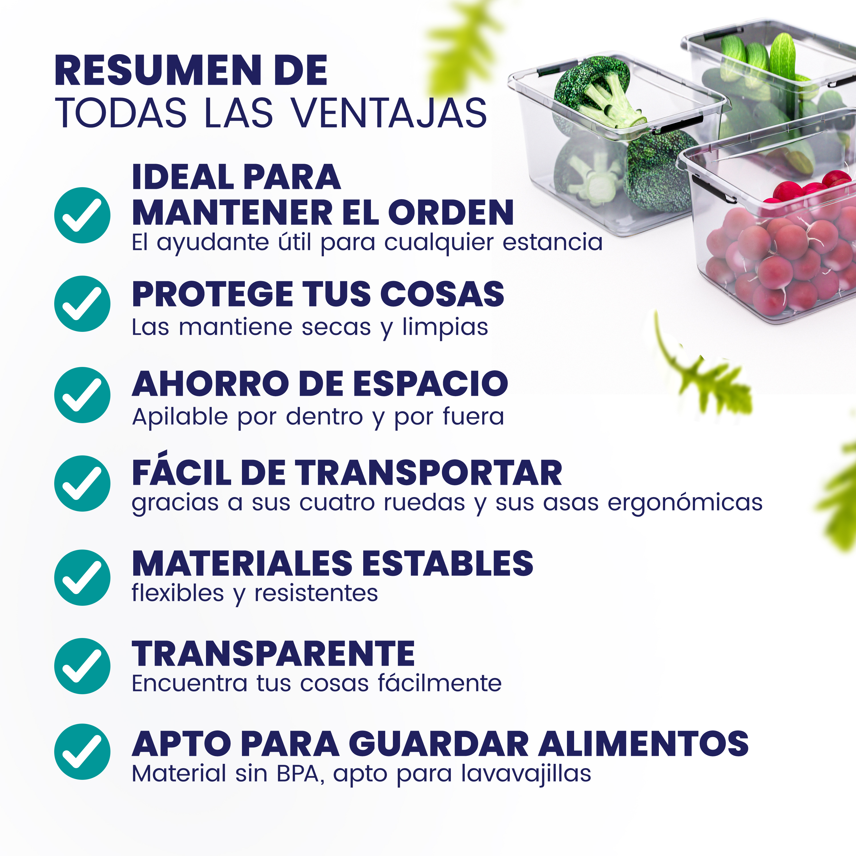Opbergbox\u0020Transparant\u002030x20x12cm\u00205L
