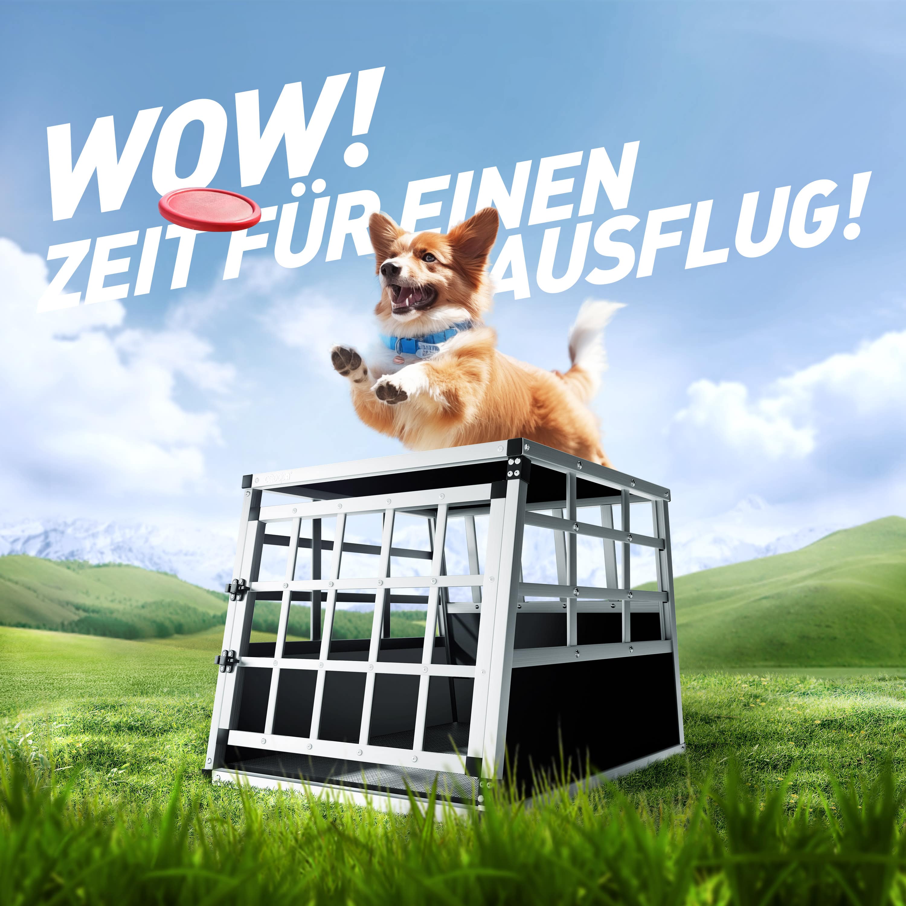 Transportbench\u0020voor\u0020Honden\u0020M\u0020Aluminium\u002070x54x51cm