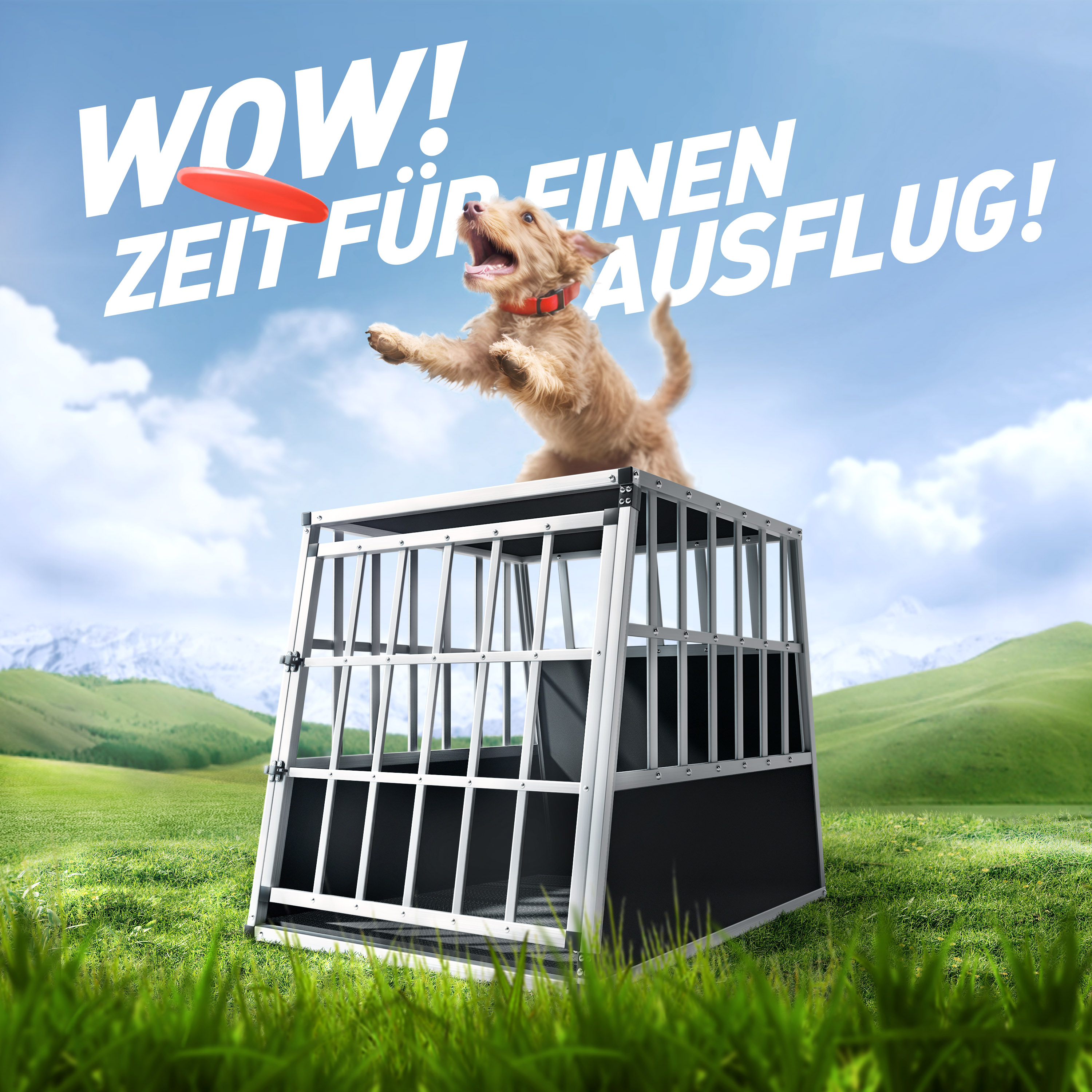 Transportbench\u0020voor\u0020Honden\u0020L\u0020Aluminium\u002090x66x72cm