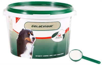 PRIMEVAL\u0020GELATINAAT\u0020HOND\u00202\u0020KG PRIMEVAL\u0020GELATINAAT\u0020HOND\u00202\u0020KG