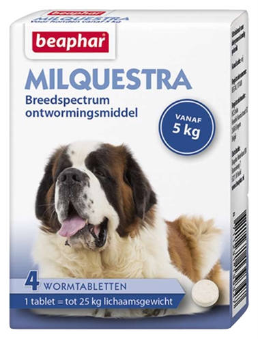 BEAPHAR\u0020MILQUESTRA\u0020HOND\u00204\u0020TBL
