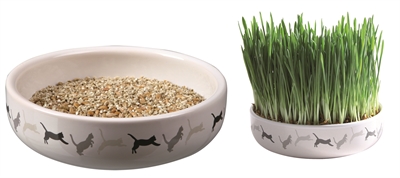 TRIXIE\u0020KATTENGRASZAAD\u002050GR\u0020IN\u0020KERAMIEK\u002015X15X4\u0020CM