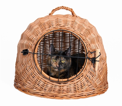 TRIXIE\u0020ROTAN\u0020KATTENMAND\u0020MET\u0020DEUR\u0020\u00F8\u002050CM