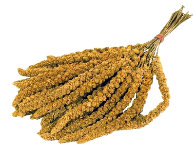 TROSGIERST\u0020CHINEES\u002015\u0020KG