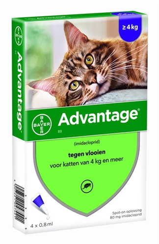 BAYER\u0020ADVANTAGE\u0020KAT\u00204\u0020PIPETTEN\u002080\u0020VANAF\u00204\u0020KG\u00204\u0020PIP