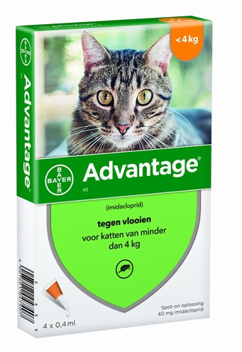 BAYER\u0020ADVANTAGE\u0020KAT\u00204\u0020PIPETTEN\u002040\u0020TOT\u00204\u0020KG\u00204\u0020PIP
