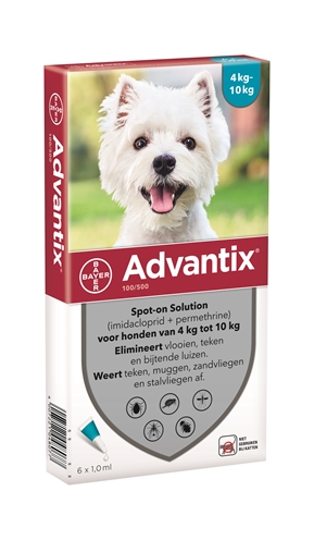 BAYER\u0020ADVANTIX\u0020SPOT\u0020ON\u0020100\u002F500\u00204\u002D10\u0020KG\u0020\u002D\u00206\u0020PIP