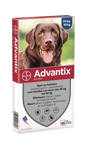 BAYER\u0020ADVANTIX\u0020SPOT\u0020ON\u0020400\u002F2000\u002025\u002B\u0020KG\u0020\u002D\u00204\u0020PIP