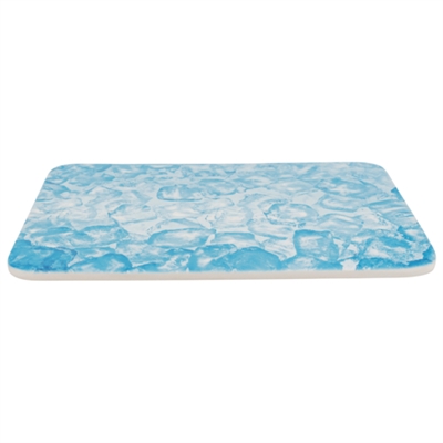 TRIXIE\u0020KOELPLAAT\u0020VOOR\u0020KLEINE\u0020DIEREN\u0020BLAUW\u002028X20\u0020CM TRIXIE\u0020KOELPLAAT\u0020VOOR\u0020KLEINE\u0020DIEREN\u0020BLAUW\u002028X20\u0020CM