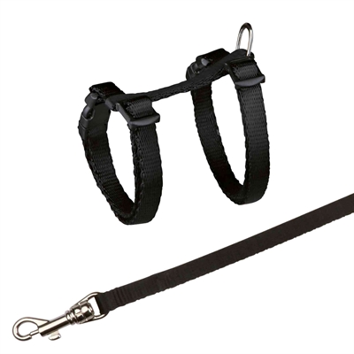 TRIXIE\u0020KITTENTUIG\u0020MET\u0020RIEM\u0020ASSORTI\u002019\u002D31\u0020CM\u0020\u002F\u00201,20\u0020MTR\u0020X\u00208\u0020MM