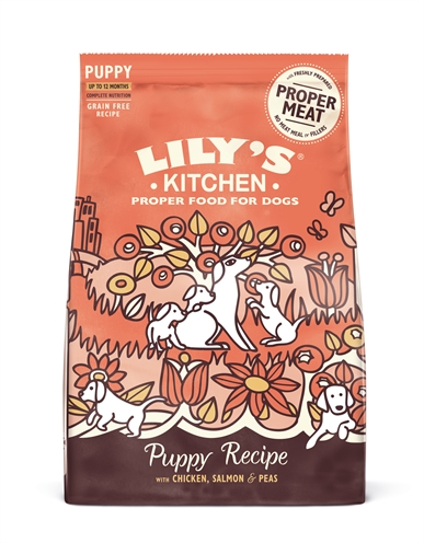 LILY\u0027S\u0020KITCHEN\u0020DOG\u0020PUPPY\u0020CHICKEN\u0020\u002F\u0020SALMON\u00207\u0020KG