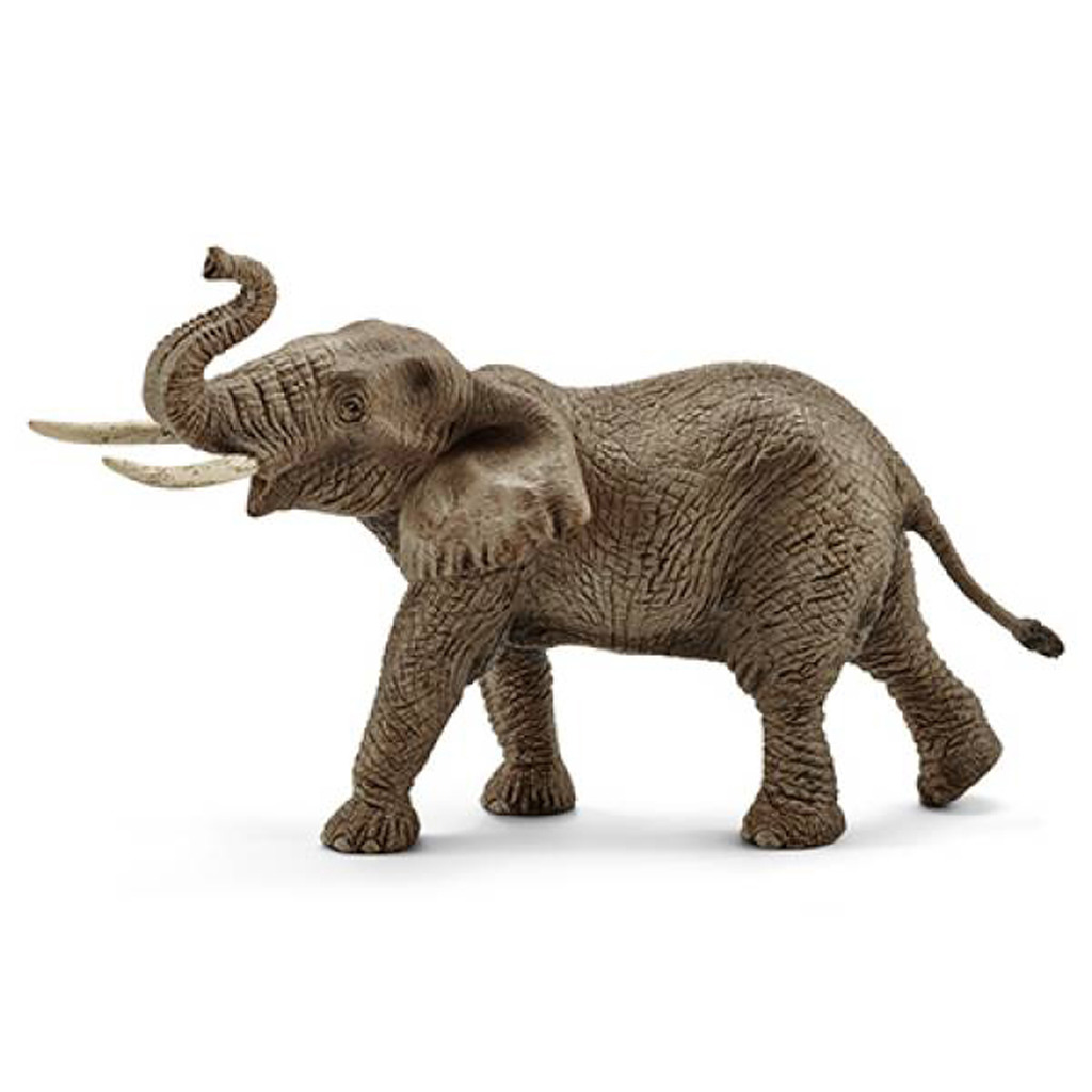 Schleich\u0020Speelfiguur\u0020Afrikaans\u0020Olifant\u0020Mannetje