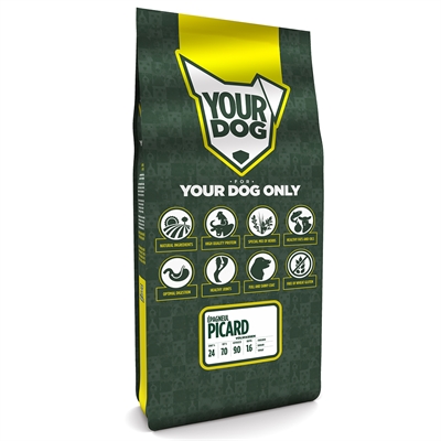 YOURDOG\u0020\u00C9PAGNEUL\u0020PICARD\u0020VOLWASSEN\u002012\u0020KG