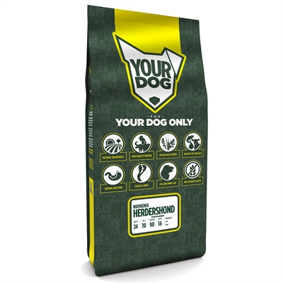 YOURDOG\u0020ROEMEENSE\u0020HERDERSHOND\u0020VOLWASSEN\u002012\u0020KG