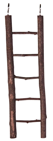 TRIXIE\u0020LADDER\u0020SCHORSHOUT\u002026CM\u00204ST