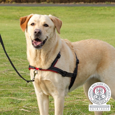 TRIXIE\u0020HONDENTUIG\u0020TRAININGSTUIG\u0020LEAD\u0027N\u0027WALK\u0020SOFT\u0020ZWART\u002045\u002D70X2,5\u0020CM