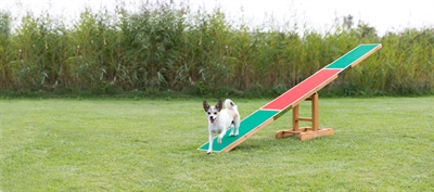 TRIXIE\u0020AGILITY\u0020WIP\u0020300X34X54\u0020CM