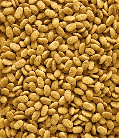 NUTRIBIRD\u0020P15\u0020ORIGINAL\u0020ONDERHOUDSVOEDER\u002010\u0020KG