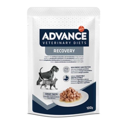 ADVANCE\u0020VETERINARY\u0020DIET\u0020DOG\u0020\u002F\u0020CAT\u0020RECOVERY\u002011X100\u0020GR ADVANCE\u0020VETERINARY\u0020DIET\u0020DOG\u0020\u002F\u0020CAT\u0020RECOVERY\u002011X100\u0020GR