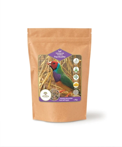 UTOPIA\u0020TROPISCHE\u0020VOGELS\u0020TOP\u0020QUALITY\u00201\u0020KG
