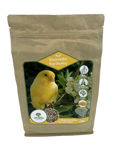 UTOPIA\u0020KANARIES\u0020TOP\u0020QUALITY\u00201\u0020KG