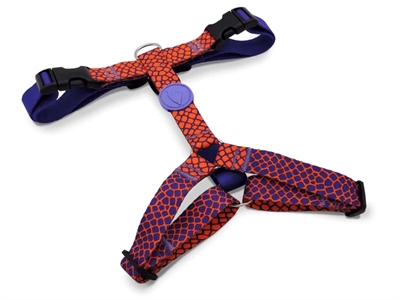 MORSO\u0020HONDENTUIG\u0020H\u002DTUIG\u0020GERECYCLED\u0020URBAN\u0020LIZARD\u0020ROOD\u002050\u002D70X1,5\u0020CM MORSO\u0020HONDENTUIG\u0020H\u002DTUIG\u0020GERECYCLED\u0020URBAN\u0020LIZARD\u0020ROOD\u002050\u002D70X1,5\u0020CM