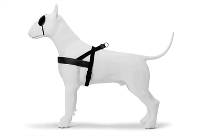 MORSO\u0020NORWEGIAN\u0020HONDENTUIG\u0020GERECYCLED\u0020PURENESS\u0020ZWART\u002054\u002D70X52\u0020CM