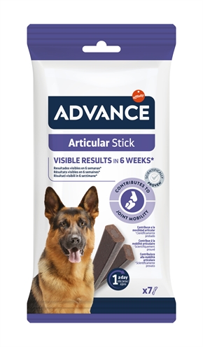 ADVANCE\u0020ARTICULAR\u0020STICK\u0020155\u0020GR