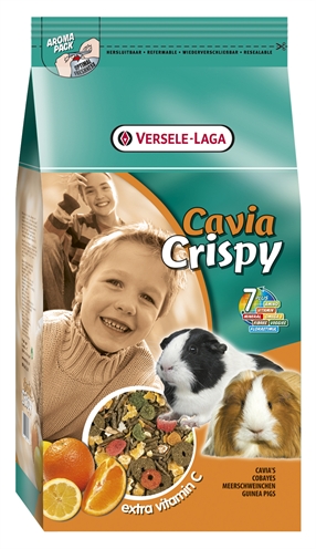 VERSELE\u002DLAGA\u0020CRISPY\u0020CAVIA\u00201\u0020KG VERSELE\u002DLAGA\u0020CRISPY\u0020CAVIA\u00201\u0020KG