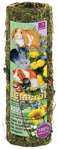 ESVE\u0020LENTEROL\u0020SMALL\u002020\u0020CM