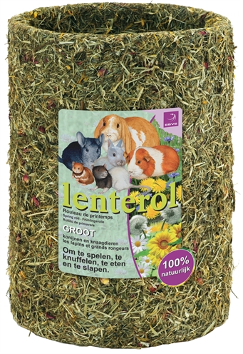 ESVE\u0020LENTEROL\u0020LARGE\u002030\u0020CM