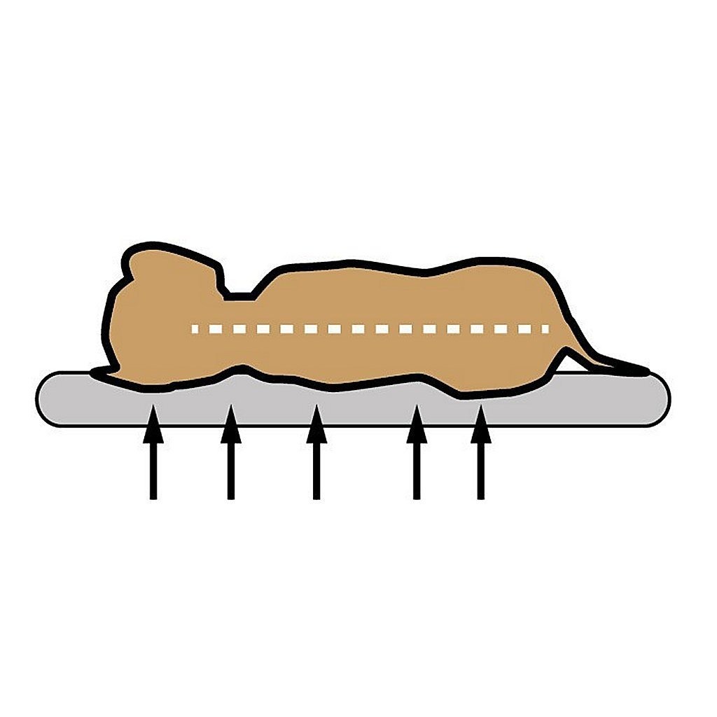 Sun\u0020Garden\u0020Buddy\u0020Orthopedisch\u0020Hondenkussen\u002072x50x8cm\u0020Lichtgrijs\u002FGemeleerd