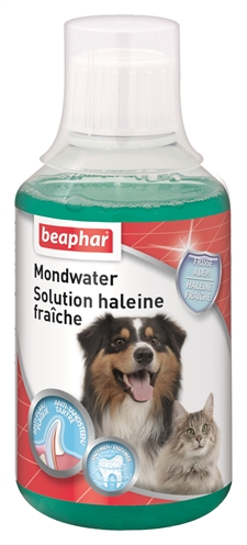 BEAPHAR\u0020MONDWATER\u0020250\u0020ML