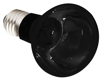 KOMODO\u0020NACHTGLOED\u0020LAMP\u0020ES\u002050\u0020WATT KOMODO\u0020NACHTGLOED\u0020LAMP\u0020ES\u002050\u0020WATT