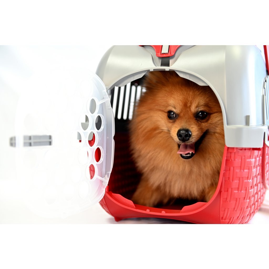 Bama\u0020Pet\u0020Transportbox\u002052x33x34\u0020cm\u0020Rood\u002FZilver
