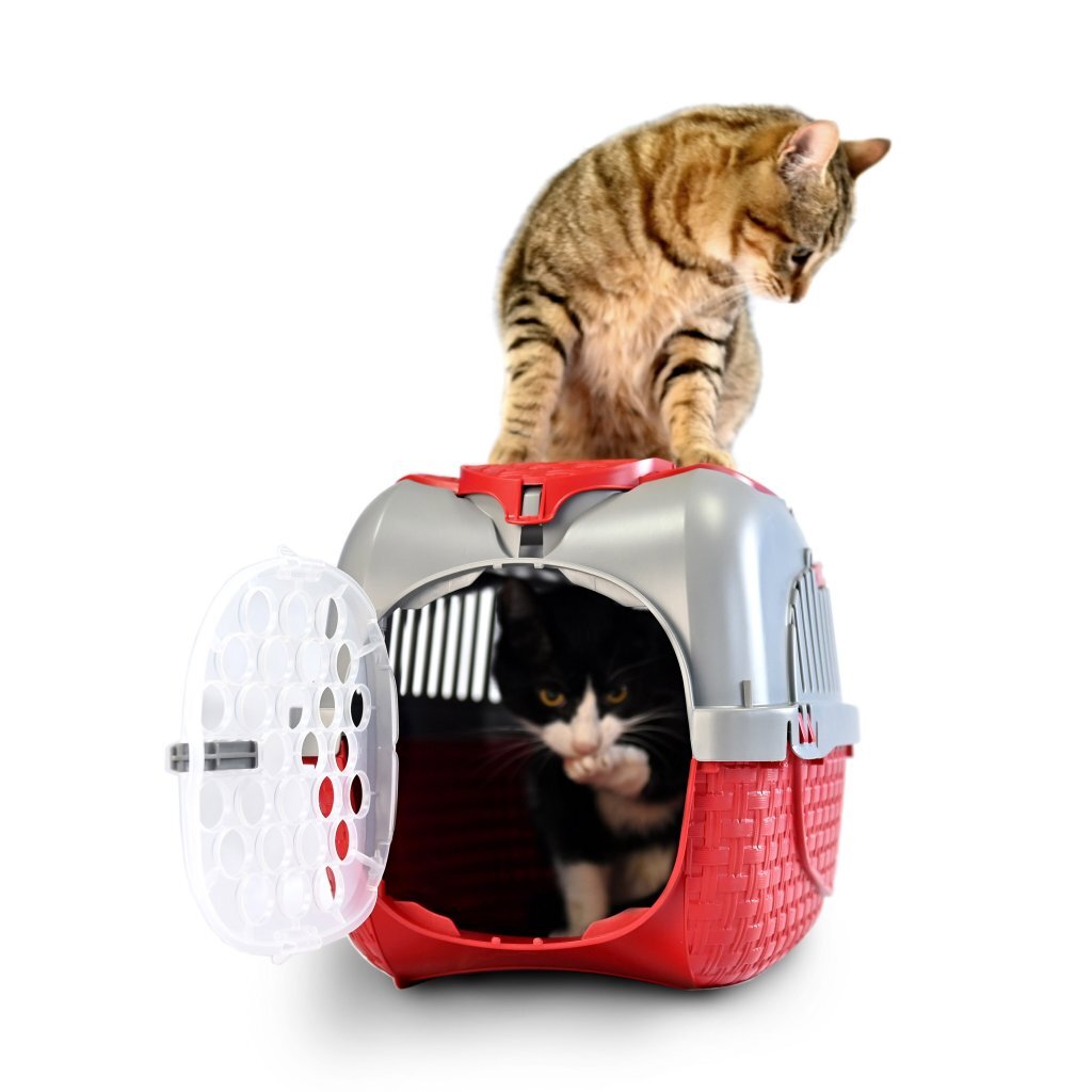 Bama\u0020Pet\u0020Transportbox\u002052x33x34\u0020cm\u0020Rood\u002FZilver