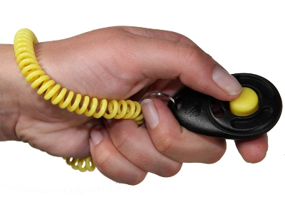 STARMARK\u0020CLICKER\u0020DE\u0020LUXE\u0020VOOR\u0020TRAINING\u00206X4\u0020CM