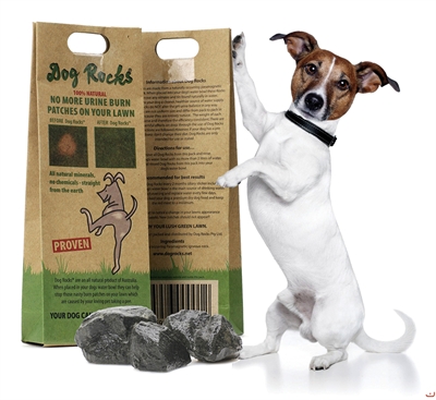 DOG\u0020ROCKS\u0020200\u0020GR