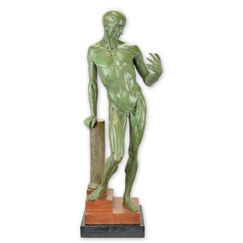 Bronzen\u0020anatomische\u0020studie\u0020van\u0020een\u0020gevild\u0020mannetje
