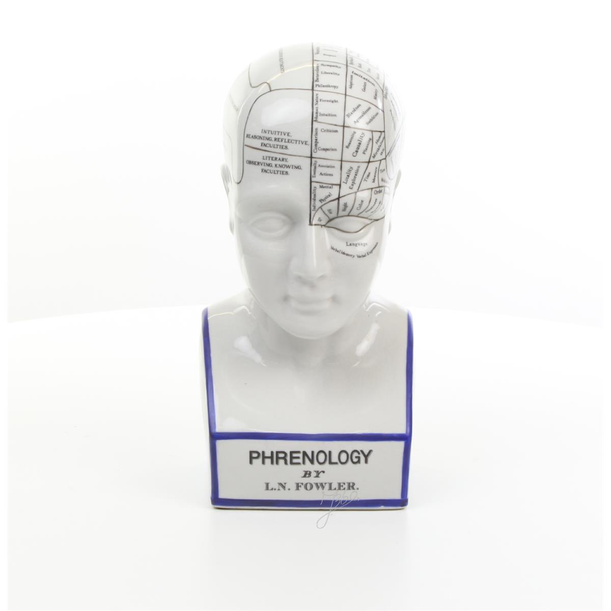 A\u0020PORCELAIN\u0020PRENOLOGY\u0020HEAD