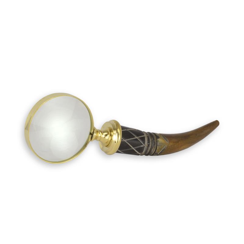 A\u0020MAGNIFYING\u002DGLASS