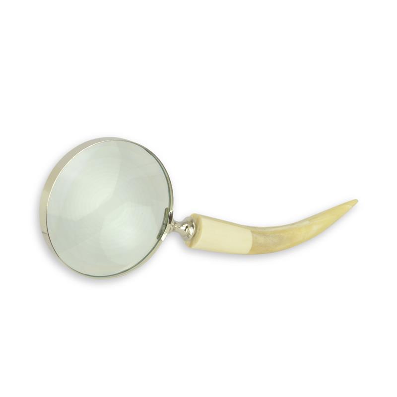 A\u0020MAGNIFYING\u002DGLASS