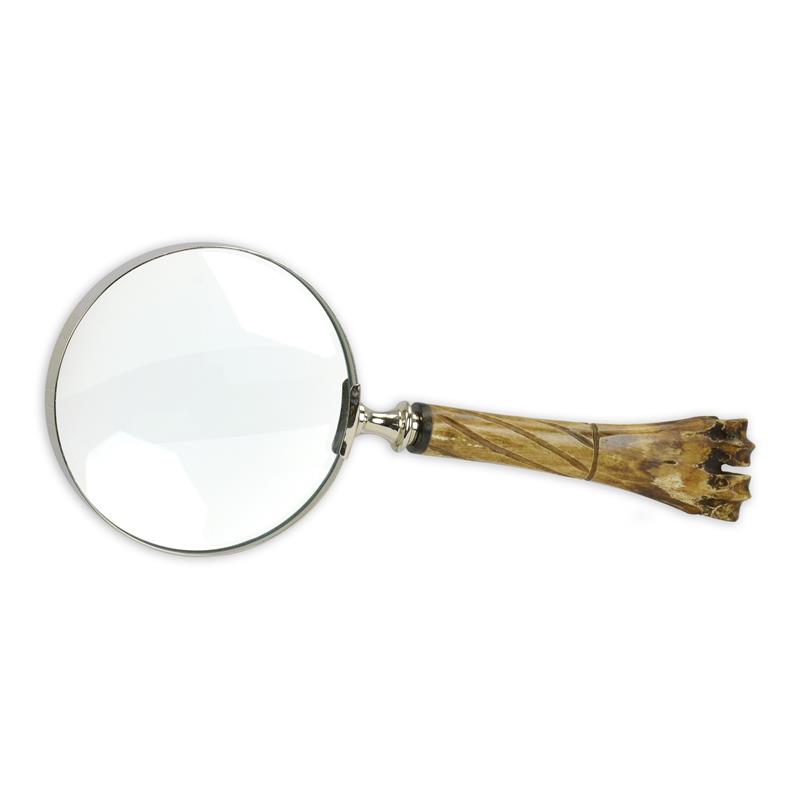 A\u0020MAGNIFYING\u0020GLASS