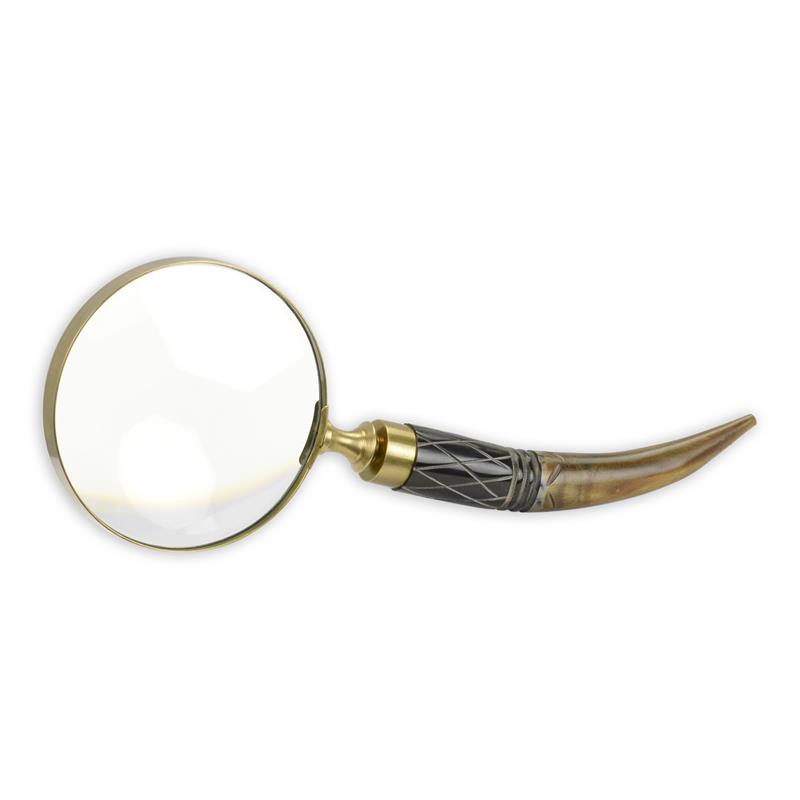 A\u0020MAGNIFYING\u002DGLASS