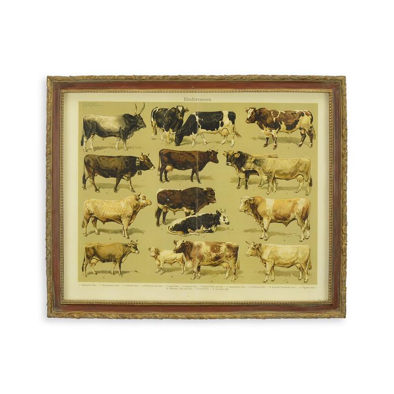 A\u0020FRAMED\u0020PRINT\u0020\u002D\u0020ASSORTI