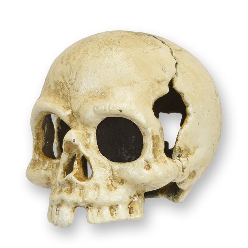 A\u0020CAST\u0020IRON\u0020SKULL\u0020TEA\u0020LIGHT\u0020HOLDER,\u0020OLD\u0020WHITE